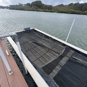 9 Meter x 3.5 Meter 2025 Sea Pen - Suit New Buyer !